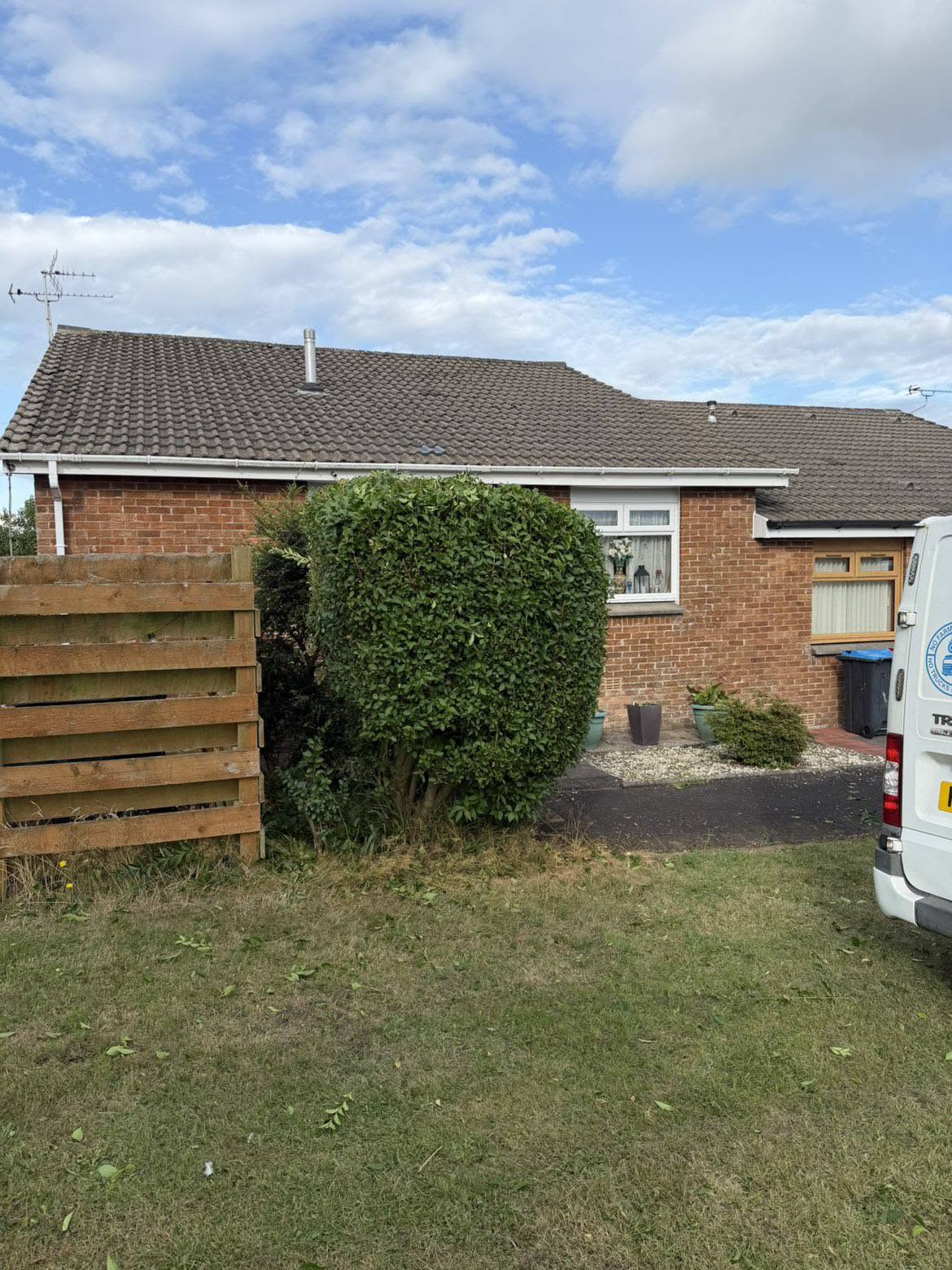 Neatly shaped garden hedge after cutting in Dumfries and Galloway