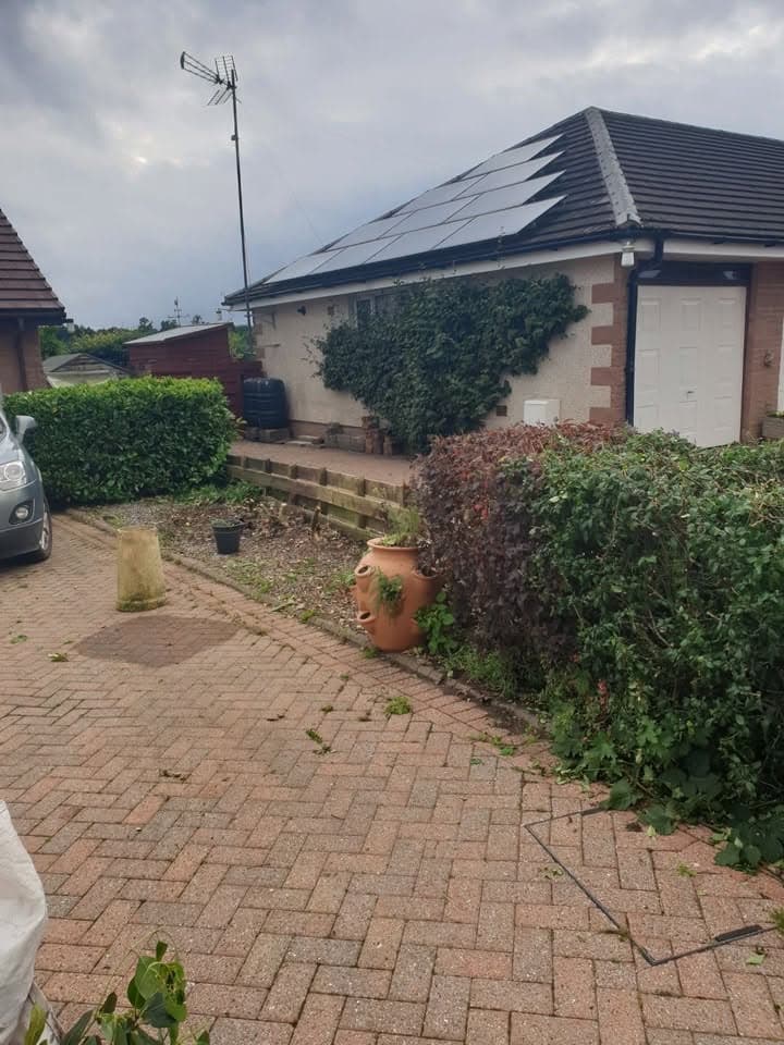Boundary hedge cut back and cleared after removal work