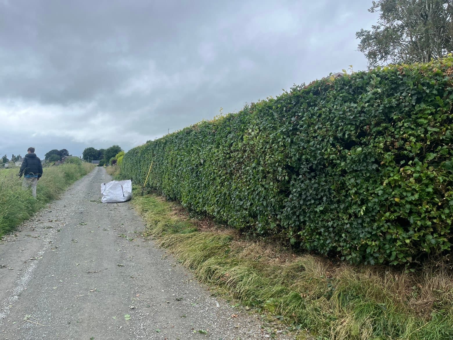 Hedge trimming and shaping completed by RML Ground Maintenance in Dumfries and Galloway