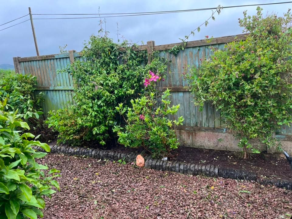 Garden border tidied and cleared by RML Ground Maintenance