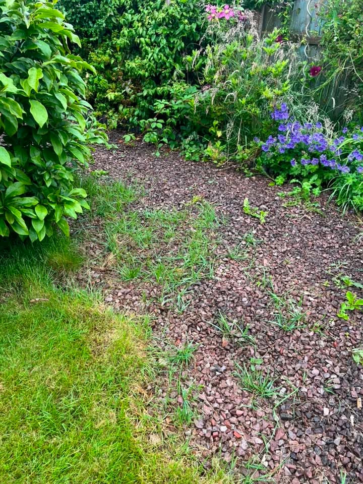 Garden border and gravel path with weeds before tidy-up