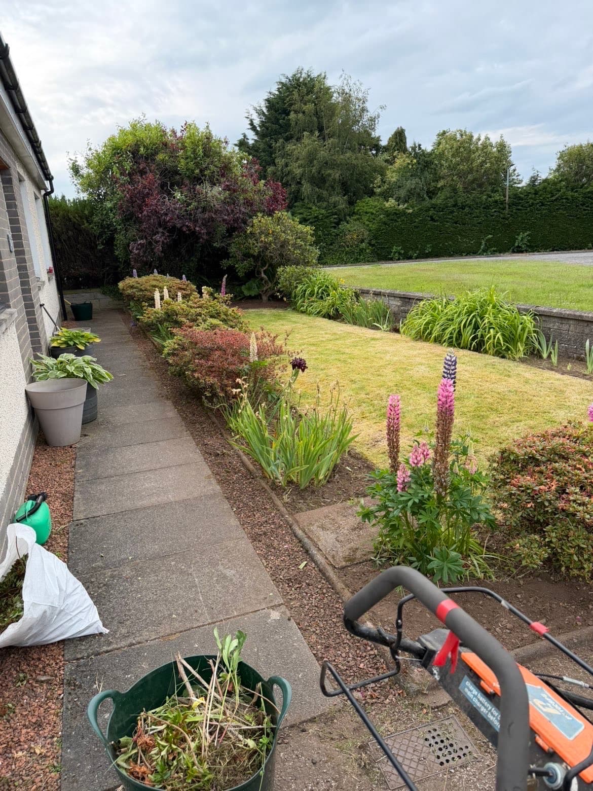 Professional garden maintenance work in Dumfries and Galloway
