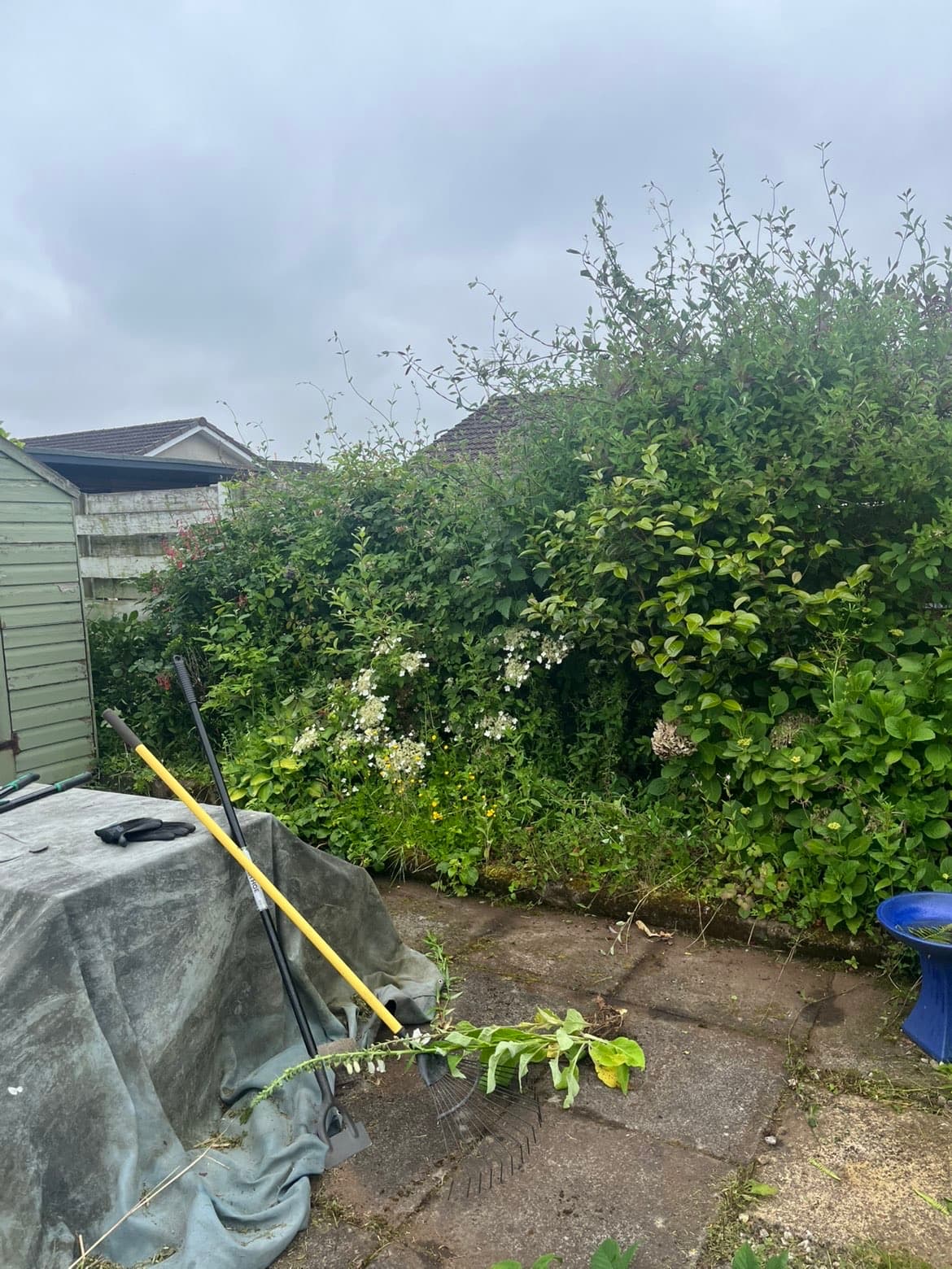 Ground maintenance work completed by RML Ground Maintenance