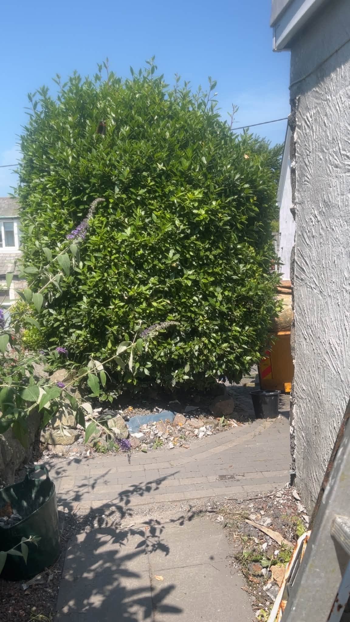 Garden wall and gate removed, opening up a clear path through to the garden