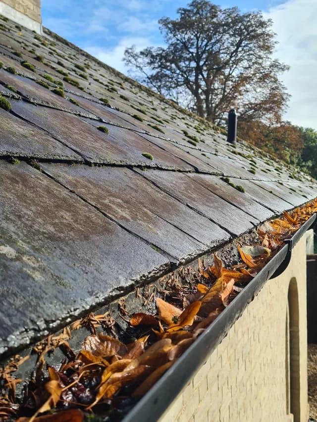 Gutter cleaning completed by RML Ground Maintenance in Dumfries and Galloway