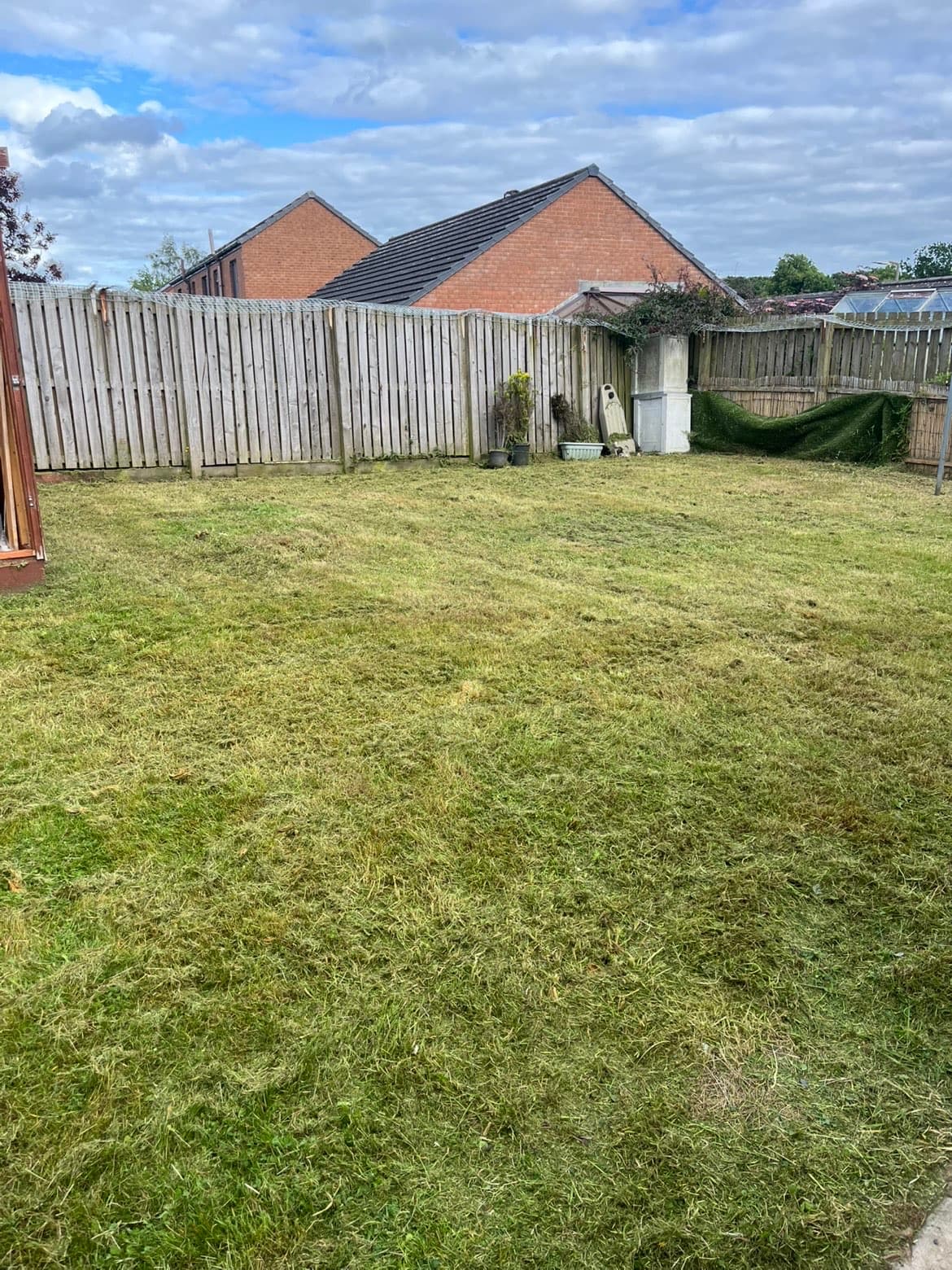 Freshly cut grass on a domestic lawn