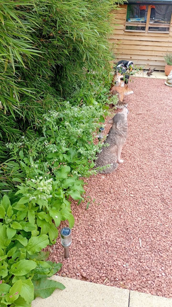 Garden border weed removal completed by RML Ground Maintenance in Dumfries and Galloway